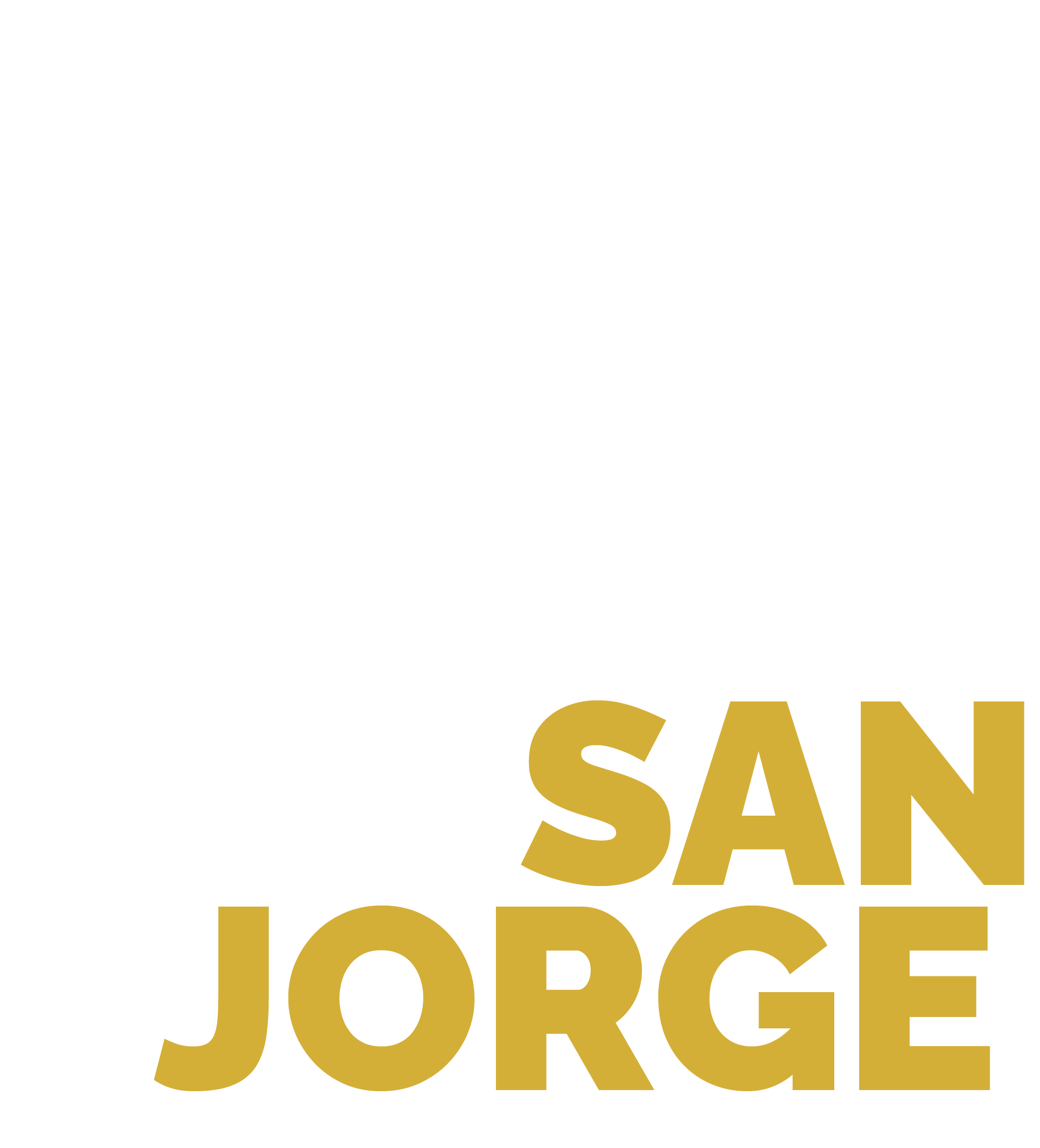 Logo FICSANJORGE